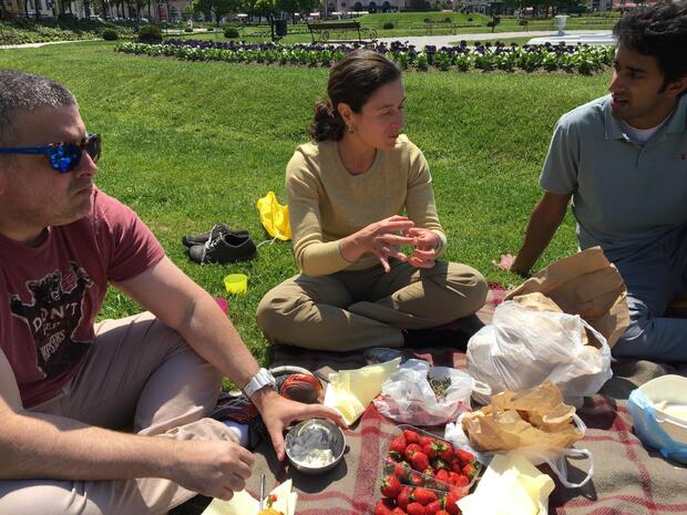 Bike a Park Picnic Tour - image 1