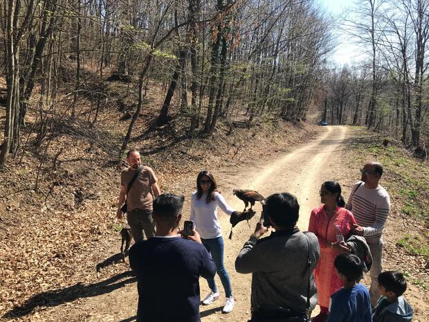 Private Medvednica Falconry Tour from Zagreb - image 1