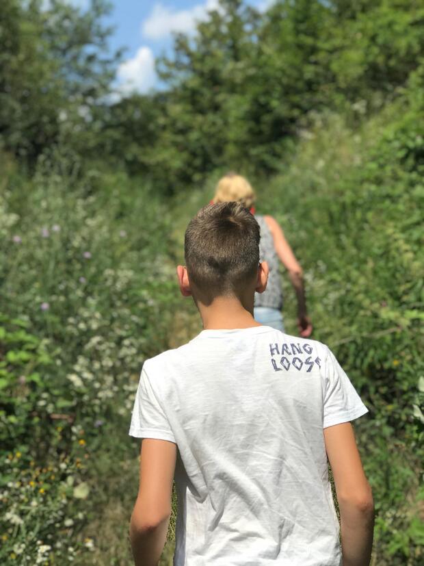 Medvednica Trekking - image 1