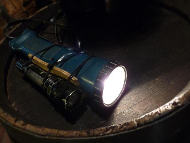 Night Truffle Hunting - image 1