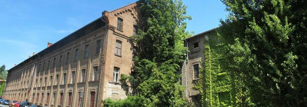 Trek and Yoga - image 1