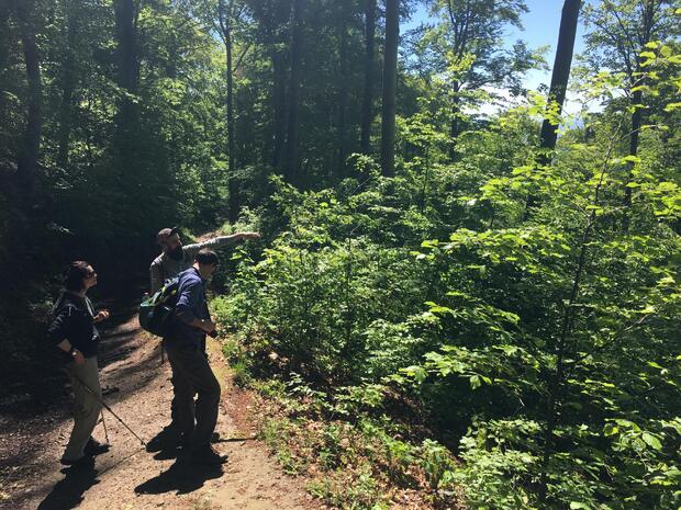 Medvednica Trekking - image 2