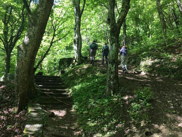 Medvednica Trekking - image 3