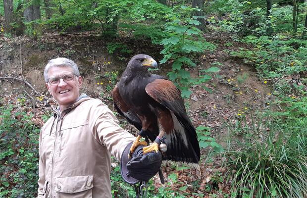 Private Medvednica Falconry Tour from Zagreb - image 3