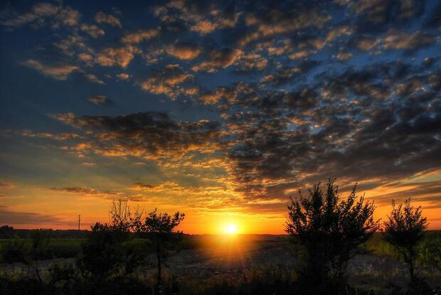 Night Truffle Hunting - image 4