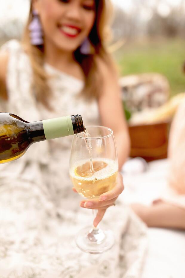 Medvednica picnic tour - image 2